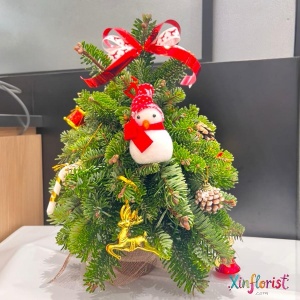 whatsapp_image_2025-12-01_at_14_54_20