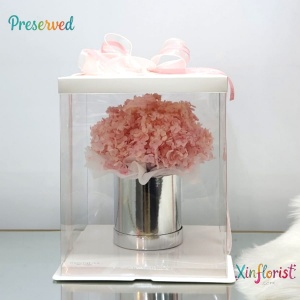 whatsapp_image_2026-01-15_at_12_01_00