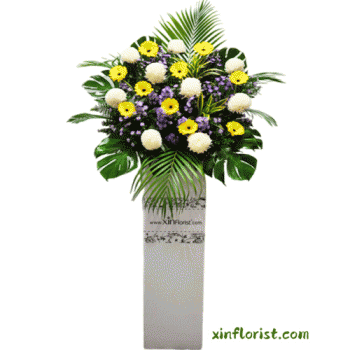 thumbnail_20250710_163953_prev_ui_1625733647