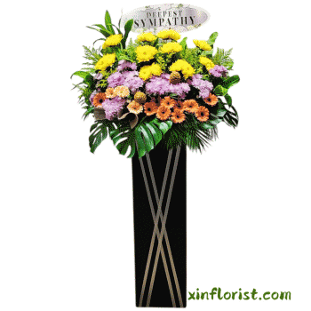 thumbnail_photoroom_20250801_165137