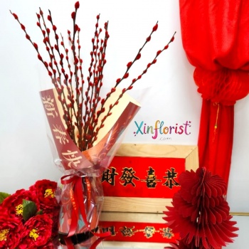 whatsapp_image_2026-01-13_at_15_42_37