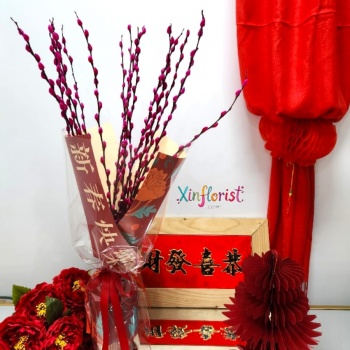 whatsapp_image_2026-01-13_at_15_45_38